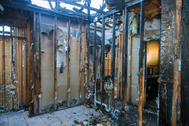 Professional Soot Cleanup technician working in Kendall Park, NJ